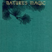 nature.magic.jpg